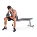 Proform Carbon Strength PFBE09620 horizontal bench