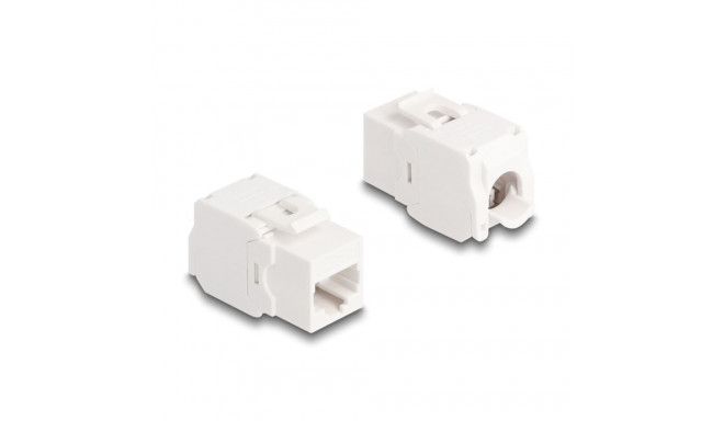 Delock Keystone Module RJ45 jack Cat.6A UTP
