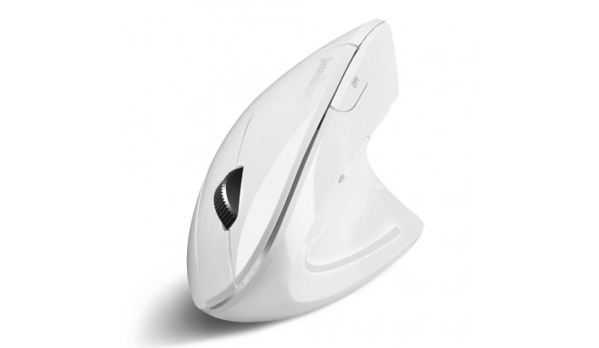 Mysz bezprzewodowa Perixx PERIMICE-813 W optyczna wertykalna pionowa prawa biała RF + BLUETOOTH