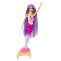 Barbie A Touch of Magic Doll and Accessories