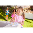 Barbie Doll and Accessories