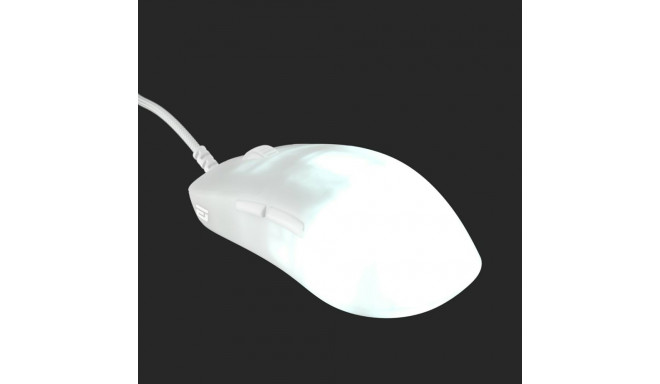 Endgame Gear OP1 RGB mängurihiir paremakäeline USB Type-A optiline 26000 DPI