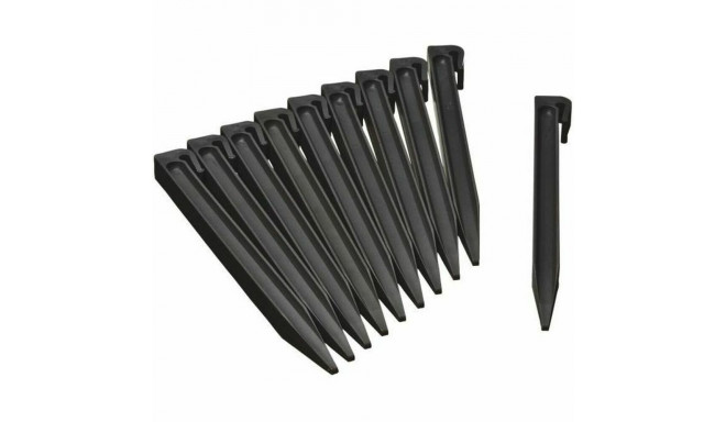 Stake Nature 6040638