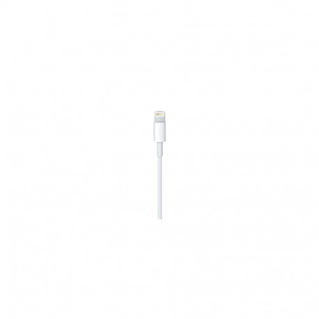 Apple MM0A3ZM/A USB-C - Lightning Cable 1 m, White