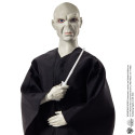 Harry Potter Lord Voldemort And Dolls