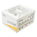 Enermax Revolution D.F.12 power supply unit 850 W 20+4 pin ATX ATX White