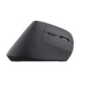 Trust Bayo+ mouse Office Right-hand RF Wireless + Bluetooth Optical 2400 DPI