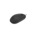 Rapoo N100-BK mouse Ambidextrous Office USB Type-A Optical 1600 DPI