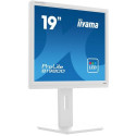 iiyama ProLite B1980D-W5 computer monitor 48.3 cm (19&quot;) 1280 x 1024 pixels SXGA LCD White