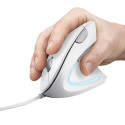 Trust Verto mouse Right-hand USB Type-A Optical 1600 DPI