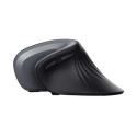 Trust Verro mouse Office Right-hand RF Wireless Optical 1600 DPI