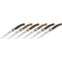 Jean Dubost Laguiole 6 pcs. Steak Knife Set, Acrylic