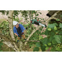 Bosch UniversalChainPole 18 Cordless Pruner Green