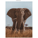 Ambassador African Elephant 1000 Pieces (Donal Boyd)