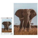 Ambassador African Elephant 1000 Pieces (Donal Boyd)