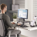 Fellowes Standard Monitor Stand black/grey