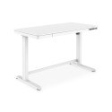 DIGITUS power height adjustable Desk wth USB and Drawer 120x60cm