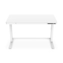 DIGITUS power height adjustable Desk wth USB and Drawer 120x60cm