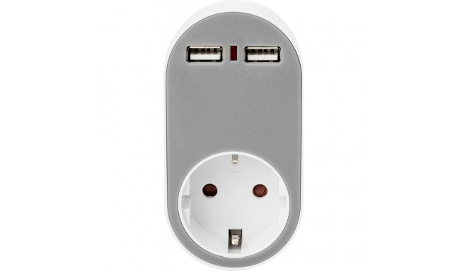 DIGITUS universal socket Adapter 2 x USB-A