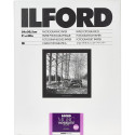 1x 10 Ilford MG RC DL  1M  24x30