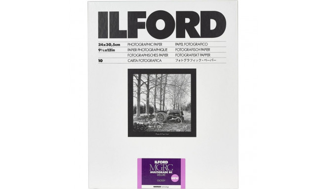 1x 10 Ilford MG RC DL  1M  24x30