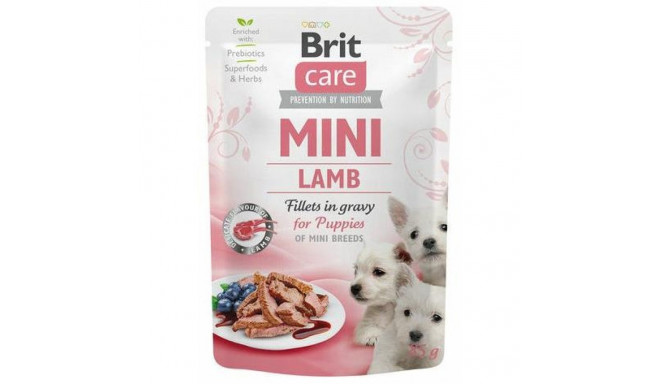 PUPPY LAMB FILEED 85G