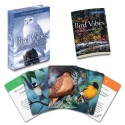 Meditation Cards Bird Vibes Beyond Words