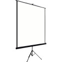 TK-Team projector screen 1:1 TRS160 160x160cm