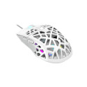 Canyon GM-20 mouse Gaming USB Type-A Optical 12000 DPI