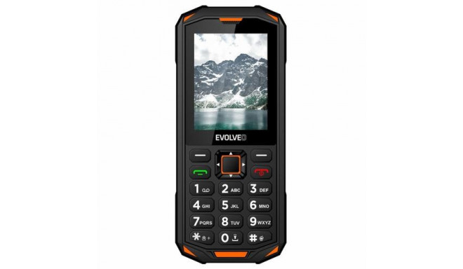 Evolveo StrongPhone SPX5OG mobile phone 6.1 cm (2.4&quot;) 160 g Black, Orange