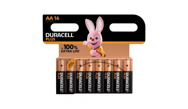 Duracell Plus 100 Single-use battery AA Alkaline