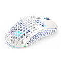 ENDORFY LIX OWH Wireless EY6A010 mouse Gaming Ambidextrous RF Wireless + USB Type-C Optical 16000 DP