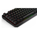 ENDORFY Thock TKL keyboard Gaming USB QWERTY Black