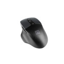 NATEC BlackBird 2 mouse Ambidextrous Office RF Wireless IR LED 1600 DPI