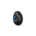 Kensington Pro Fit Ergo TB450 Trackball