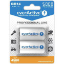 Everactive EVHRL14-5000 household battery Rechargeable battery Nickel-Metal Hydride (NiMH)