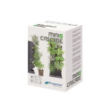 Vertikaalne aiaseade Mini Cascade antratsiit