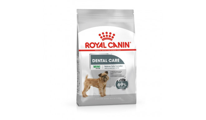 ROYAL CANIN CCN Mini Dental Care - kuivtoit täiskasvanud koertele - 3kg