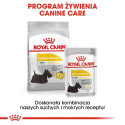 ROYAL CANIN Mini Dermacomfort -  dry food for adult small breeds of dogs with sensitive skin prone t