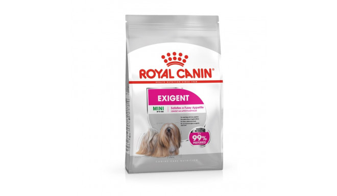 ROYAL CANIN Mini Exigent kuivtoit valivatele koertele 1kg