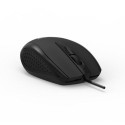 Acer HP.EXPBG.008 mouse Home Ambidextrous USB Type-A Optical