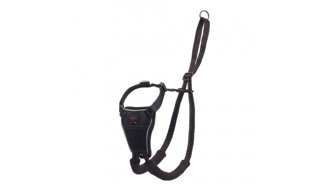 Dog Harness Company of Animals Halti Size S (26-36 cm)