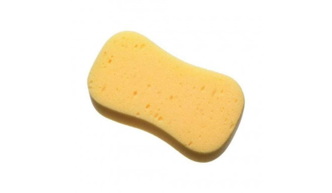 sponge two sided