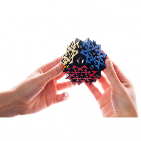 RECENT TOYS Logic game Maltese Gear