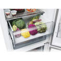 CNCQ2T620DW Fridge