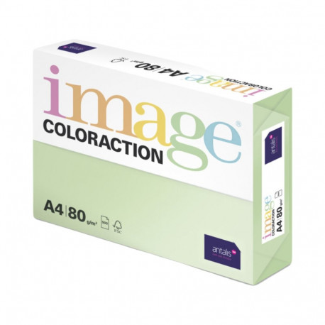 Värviline paber A4 80g IMAGE Coloraction nr.65 pastelne roheline (Forest) 500 lehte