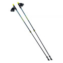 Nordic Walking poles Elbrus Blasimon 92800404936