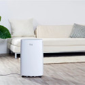 Taurus Pleasant Unique 22l Dehumidifier