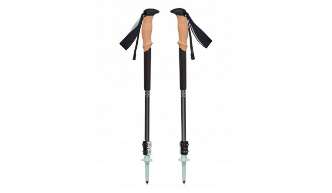 Black Diamond Trail Back harcoal-Foam Green trekking poles