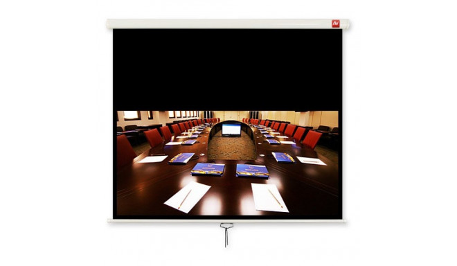 Avtek Business 200 projection screen 16:10